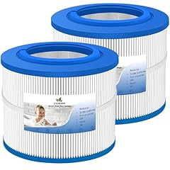 Lvjusen spa filter for sale  Delivered anywhere in USA 