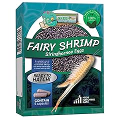 Greenwaterfarm fairy shrimp for sale  Delivered anywhere in UK