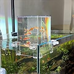 Ascenseur poissons aquarium d'occasion  Livré partout en France