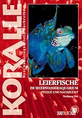 Leierfische meerwasseraquarium gebraucht kaufen  Wird an jeden Ort in Deutschland
