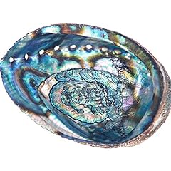 Abalone shell smudging for sale  Delivered anywhere in USA 