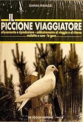 Piccione viaggiatore usato  Spedito ovunque in Italia 