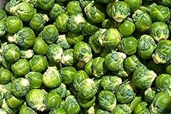 Bulk organically grown for sale  Delivered anywhere in USA 