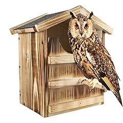 Owl house hand for sale  Delivered anywhere in USA 