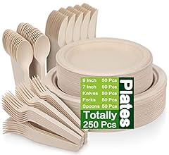 250 piece compostable for sale  Delivered anywhere in USA 