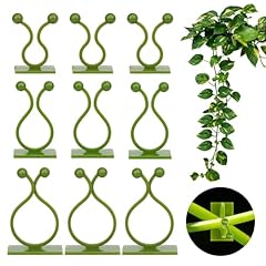 Lucknight plant climbing for sale  Delivered anywhere in UK