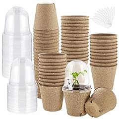 Hahood set plant for sale  Delivered anywhere in USA 