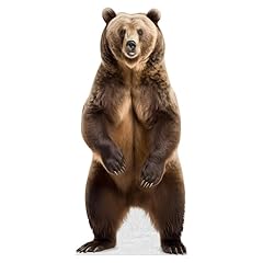 Bear life size for sale  Delivered anywhere in USA 