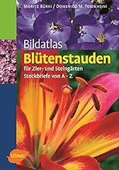 Bildatlas blütenstauden zier gebraucht kaufen  Wird an jeden Ort in Deutschland