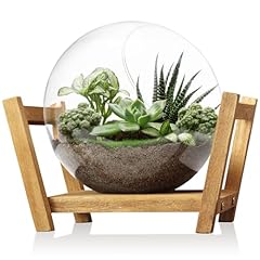 Monoture glass plant for sale  Delivered anywhere in USA 