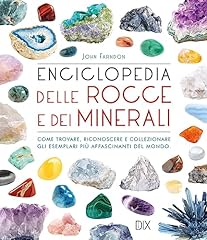Enciclopedia delle rocce usato  Spedito ovunque in Italia 
