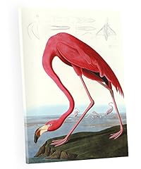 Niwo art american for sale  Delivered anywhere in USA 