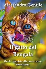 Gatto del bengala usato  Spedito ovunque in Italia 