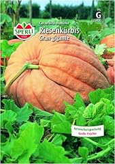 Riesenkürbis gran gigante gebraucht kaufen  Wird an jeden Ort in Deutschland