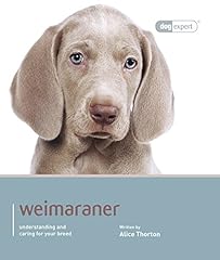 Weimaraner dog expert for sale  Delivered anywhere in UK