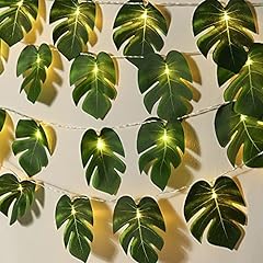 Monstera leaf string for sale  Delivered anywhere in USA 