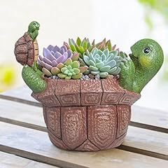 Pointnio cute turtle for sale  Delivered anywhere in USA 