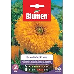 Semi girasole doppio usato  Spedito ovunque in Italia 