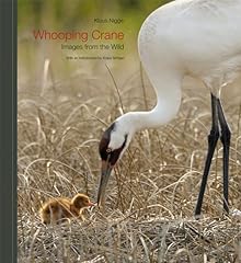 Whooping crane images for sale  Delivered anywhere in USA 