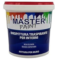 Masterbrico.com pittura bianca usato  Spedito ovunque in Italia 
