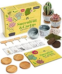 Deluxe Succulent & Cactus Seed Grow Kit - Complete for sale  Delivered anywhere in USA 