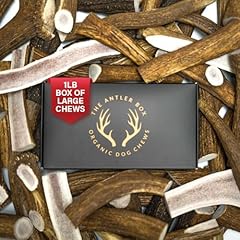 Antler box premium for sale  Delivered anywhere in USA 