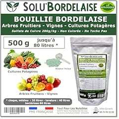 Solu bordelaise 500 d'occasion  Livré partout en France
