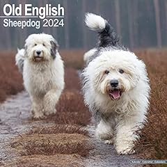 English sheepdog bobtails gebraucht kaufen  Wird an jeden Ort in Deutschland