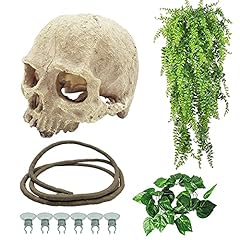 Tfwadmx reptiles skull for sale  Delivered anywhere in USA 