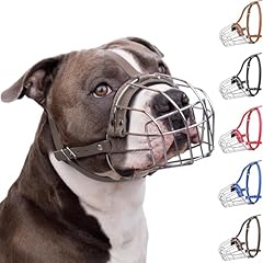 Bronzedog pitbull dog for sale  Delivered anywhere in UK