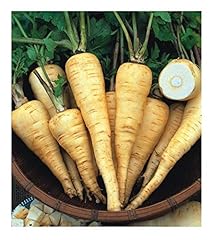 Premier seeds direct for sale  Delivered anywhere in UK