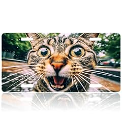 Funny shocked cat for sale  Delivered anywhere in USA 