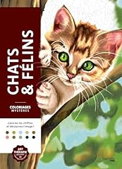 Chats félins coloriez d'occasion  Livré partout en Belgiqu