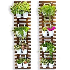 Shoplala wall planter for sale  Delivered anywhere in USA 