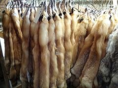 Red fox hide for sale  Delivered anywhere in USA 