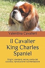 Cavalier king charles usato  Spedito ovunque in Italia 