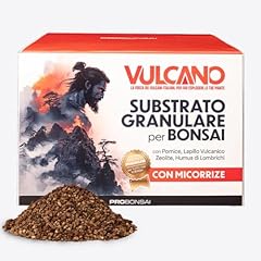 Probonsai vulcano substrato usato  Spedito ovunque in Italia 