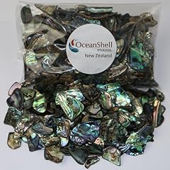Abalone shell pieces for sale  Delivered anywhere in USA 