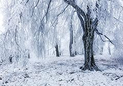 Wandmotiv24 fototapete schnee gebraucht kaufen  Wird an jeden Ort in Deutschland