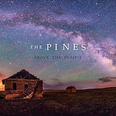 Above the prairie usato  Spedito ovunque in Italia 