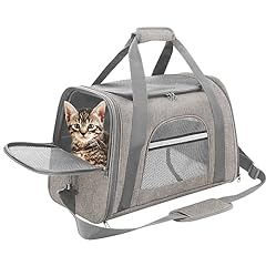 Airline approved pet for sale  Delivered anywhere in USA 