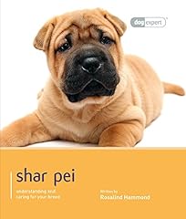 Shar pei dog for sale  Delivered anywhere in UK