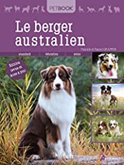 Berger australien d'occasion  Livré partout en Belgiqu
