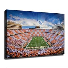 American football neyland for sale  Delivered anywhere in USA 