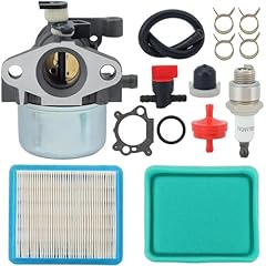 Panari 799866 carburetor for sale  Delivered anywhere in USA 