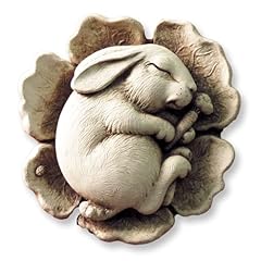 Sleeping baby bunny for sale  Delivered anywhere in USA 