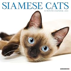 Siamese cats 2025 d'occasion  Livré partout en France