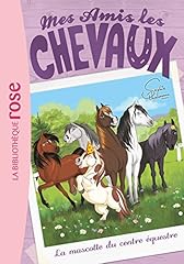 Mascotte centre équestre d'occasion  Livré partout en Belgiqu