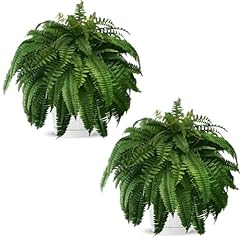 Hidly artificial ferns for sale  Delivered anywhere in USA 