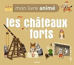 chateau fort play mobile d'occasion chateau fort play mobile d'occasion Livré partout en France